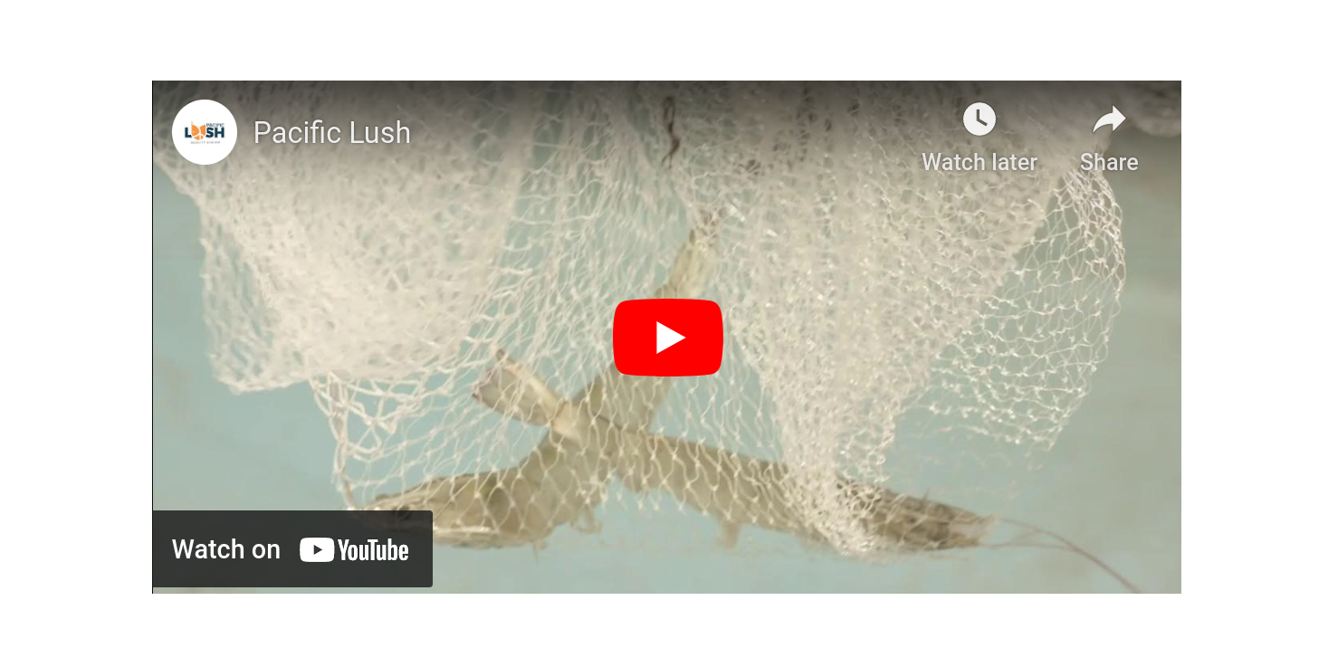 Load video: Learn more about Pacific Lush